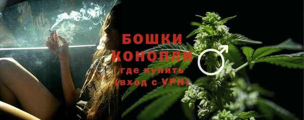 молекула духа Беломорск