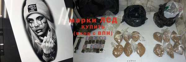 ECSTASY Белокуриха