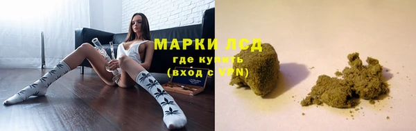 ECSTASY Белокуриха