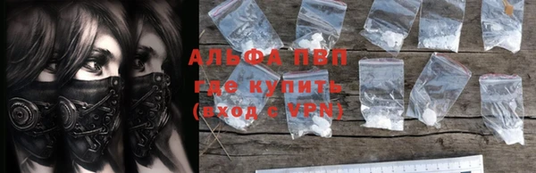 ECSTASY Белокуриха